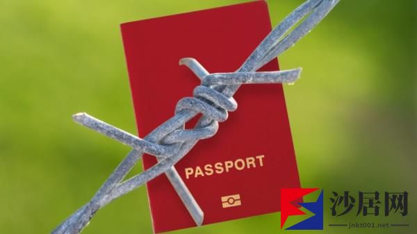 意大利边境警察查获的被盗和伪造护照和签证数量在2023年有所增加